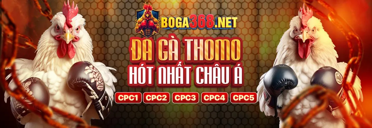 Quản lý tài khoản cá nhân