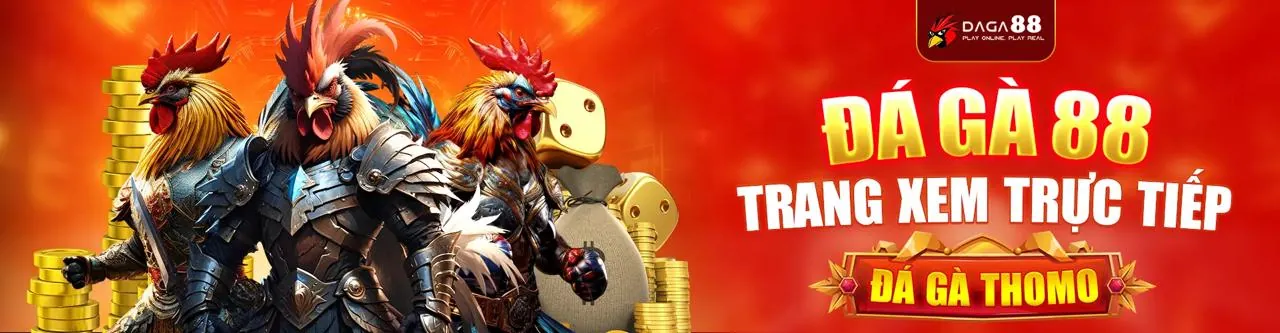 Chính sách Cookie 777king99 đăng nhập